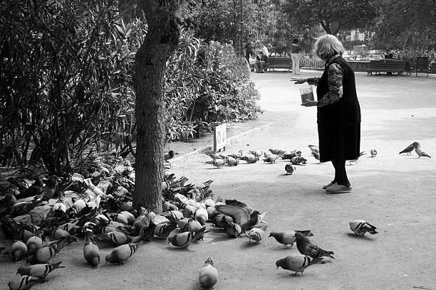 istock Old woman feeding pigeons 121374200
