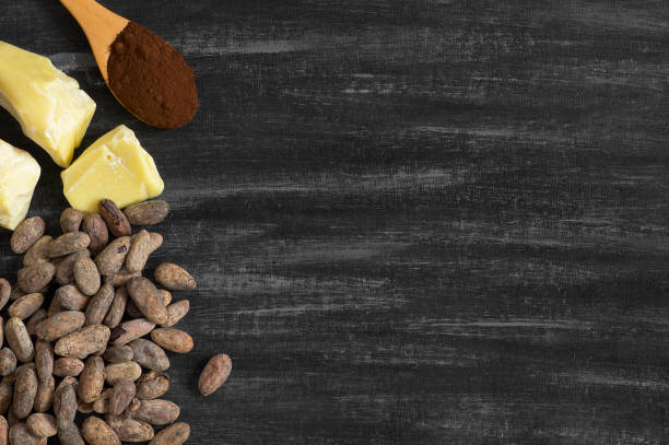 istock Cocoa butter or Cocoa bean solid oil with cacao powder in spoon and raw cocoa beans on rustic backdrop, healthy natural oil 1213743945
