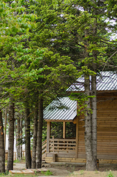 istock Wooden Hut 1213744380