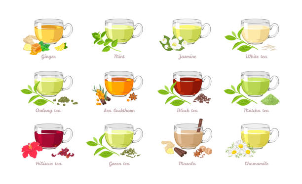 teesatz verschiedener arten. vektor-illustration der sammlung von beliebten getränken in cartoon-flachstil. glasbecher isoliert auf weißem hintergrund. - green tea illustrations stock-grafiken, -clipart, -cartoons und -symbole