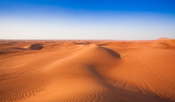 istock desert sand and dunes with clear blue sky. 1213747998