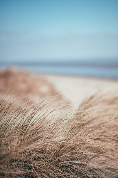 istock Wilhelmshaven beach and sea 1213748661