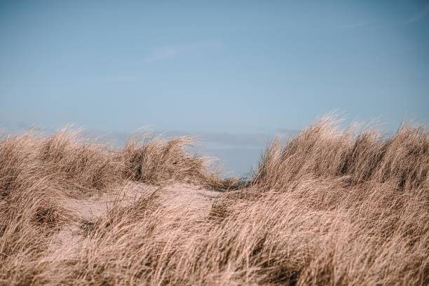istock Wilhelmshaven beach and sea 1213748674