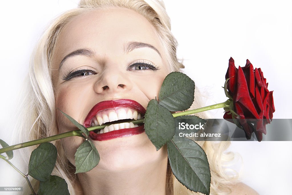 Valentinstag-Rose - Lizenzfrei Rose Stock-Foto
