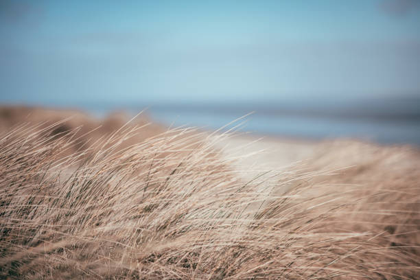 istock Wilhelmshaven beach and sea 1213749257