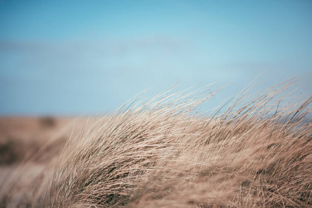 istock Wilhelmshaven beach and sea 1213749277