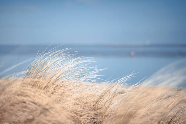 istock Wilhelmshaven beach and sea 1213749427