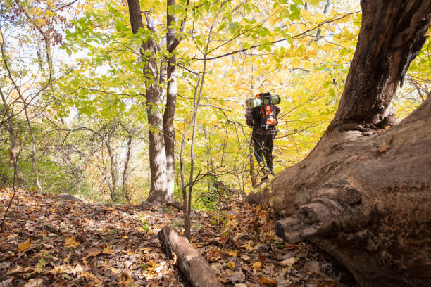 istock Man hiking outside in nature 1213749747