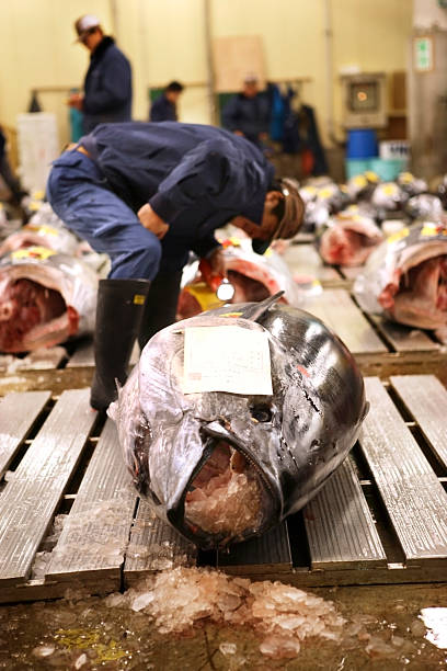 istock Tokyo Fishmarket 121375276