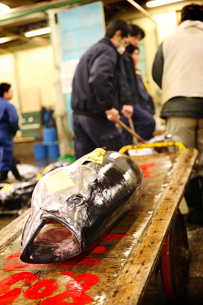 istock Tokyo Fishmarket 121375285