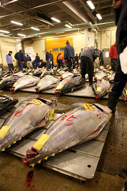 istock Tuna at tokyo fishmarket 121375299