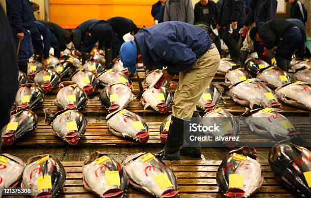 Tokyo Fishmarket Stock Photo - Download Image Now - Fish Market, Market - Retail Space, Japan