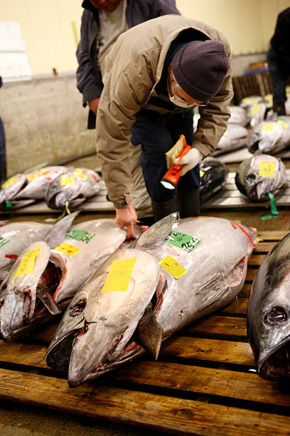 istock Tokyo Fishmarket 121375311