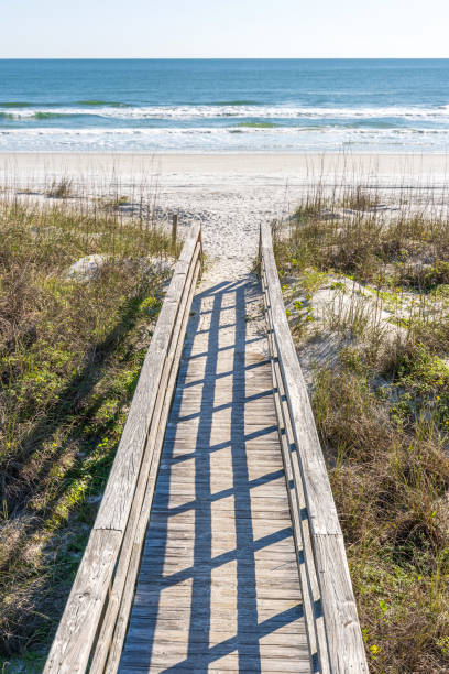 istock Florida beach wooden boardwalk steps 1213753251