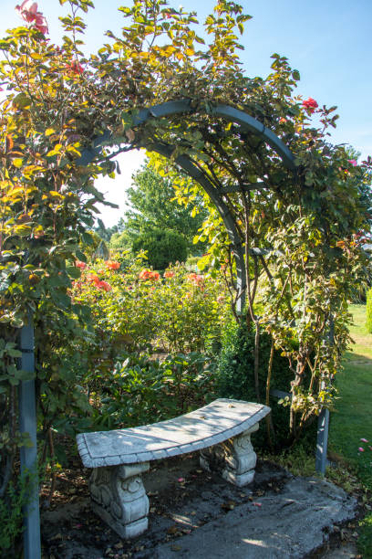 istock New Zealand: Garden at Cromwell 1213755870