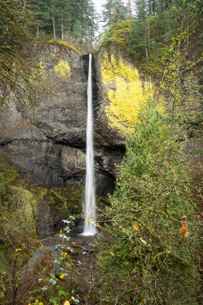 istock View of Latourell Waterfall from the Trail 1213761776