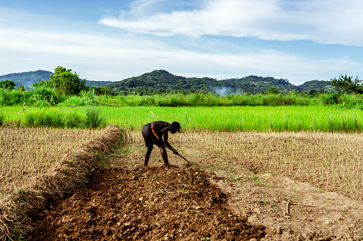 African Farmer in Malawi