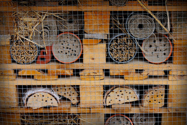 Insect Hotel or Bug Mansion. stock photo