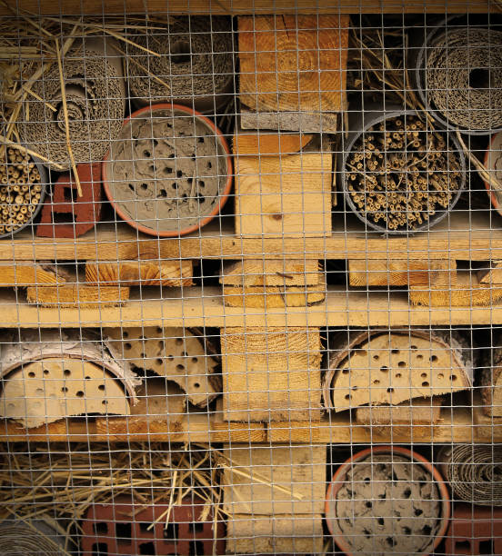 Insect Hotel or Bug Mansion. stock photo