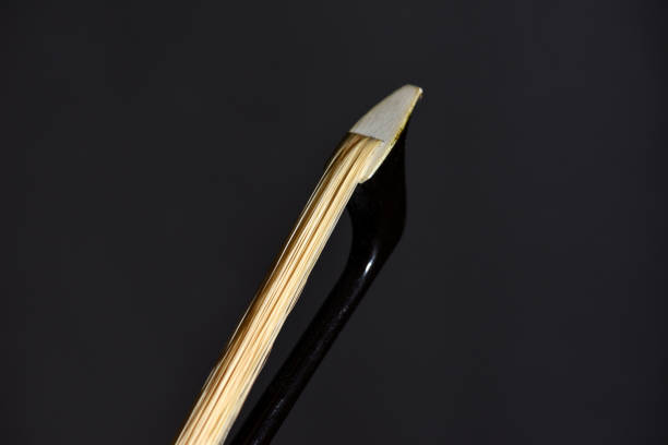 Cello bow hair closeup isolated on black background