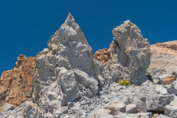 Butterfly Migration Amidst the Volcanic Rocks Butterfly Migration Amidst the Volcanic Rocks on Mount Lassen in Lassen Volcanic National Park in California small tortoiseshell butterfly stock pictures, royalty-free photos & images