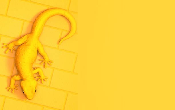 istock 3D rendering illustration white gecko isolated on yellow brick pattern background 1213769619