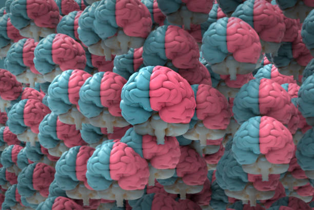 istock 3D rendering crowd of human brains illustration 1213769710