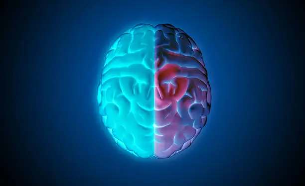 Photo of 3D rendering brain top view blue on left and colorful red on right