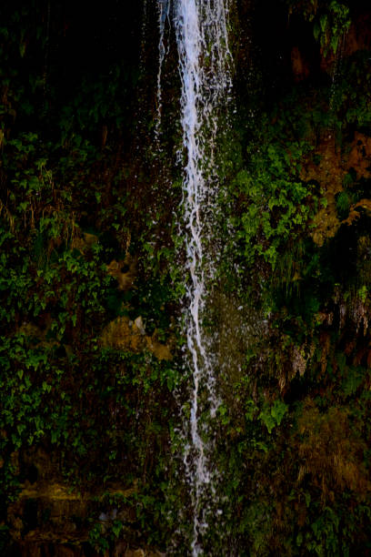 On a hike at Engedi, the tall waterfall trickles down off of a rock face.