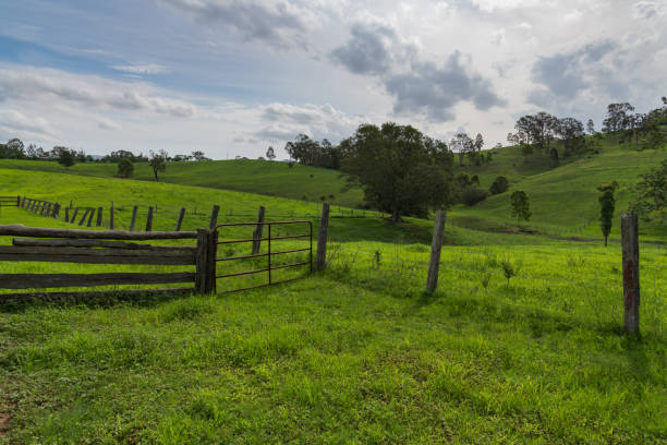 istock Rural Countryside green after the rain. 1213777343
