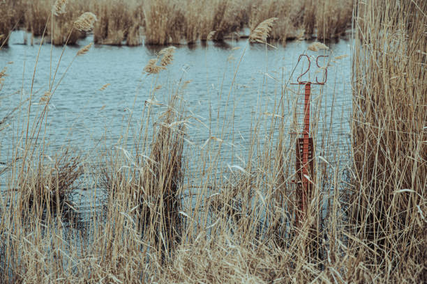 Red metall meter with 25 in the pond in Krasnodar, Krasnodar Krai, Russia
