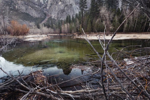 istock early morning reflection on the Merced River in Yosemite 1213777952
