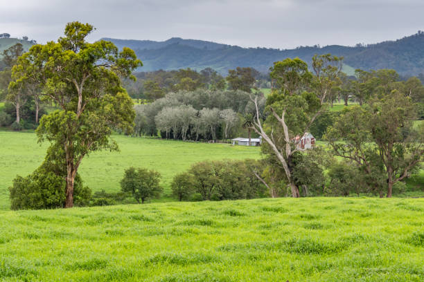 istock Rural Countryside green after the rain. 1213778483