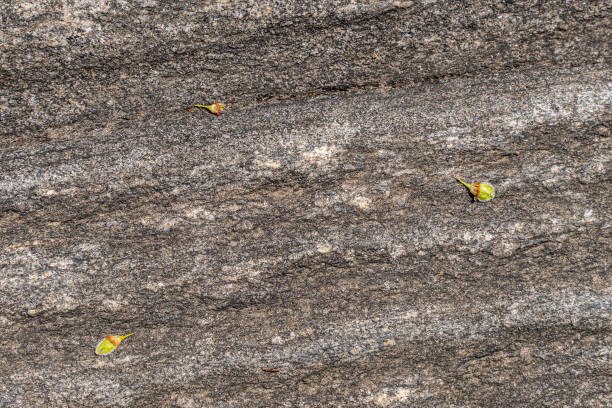 istock Central Park's Rocks - natural background from Manhattan, NYC 1213779377