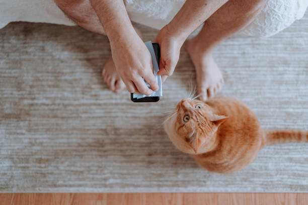istock Man wiping down a cellphone 1213786408