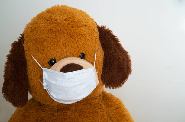 istock Toy dog in protective mask 1213806915