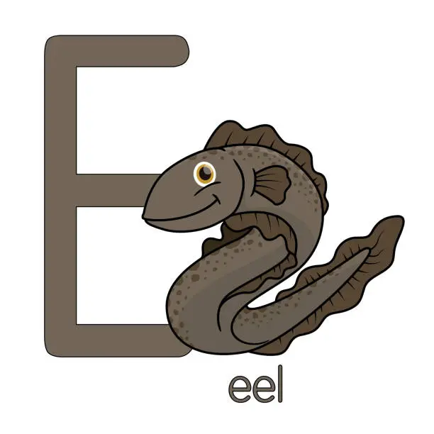 Vector illustration of Vector illustration of an eel isolated on white background. With the capital letter E for use as teaching materials Let children get to know the English alphabet.