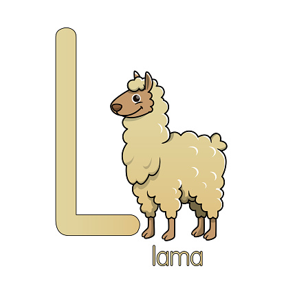 Vector illustration of a Llama standing isolated on white background. With the capital letter L for use as teaching materials Let children get to know the English alphabet.