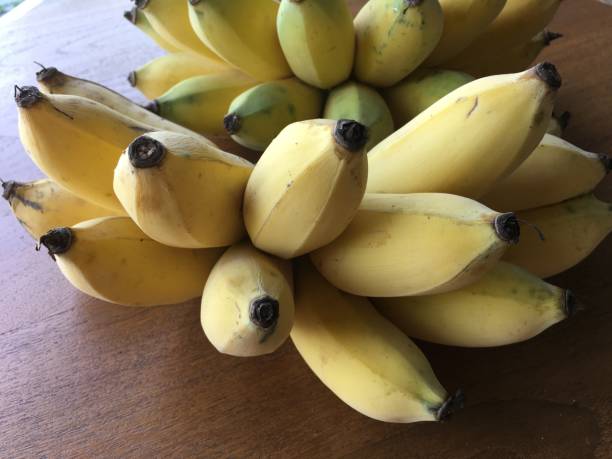 istock Beautiful color bananas in Thailand 1213809766