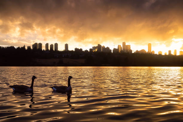 blick auf den hirschsee bei einem bunten und pulsierenden wintersonnenuntergang - vancouver skyline city urban scene stock-fotos und bilder