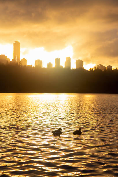 blick auf den hirschsee bei einem bunten und pulsierenden wintersonnenuntergang - vancouver skyline city urban scene stock-fotos und bilder