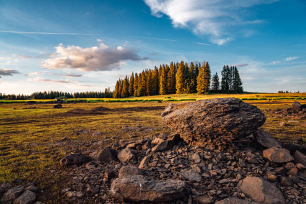 Wide Angle Sunset Shot of Muddy Giant Boulder In the Middle of a Dried Up Lake With Pine Trees in the Background Inside the Grand Mesa National Forest In Beautiful Western Colorado stock photo