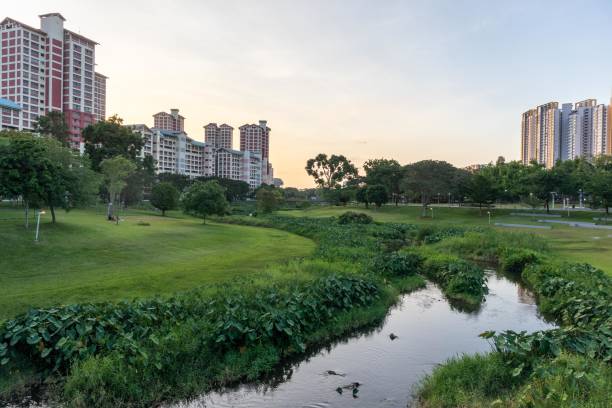 istock high dynamic range landscape of neighborhood park 1213814990