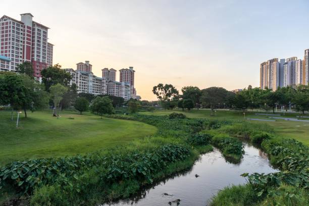 istock high dynamic range landscape of neighborhood park 1213815000