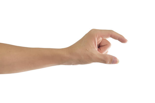 istock Hand gesture catch isolated on white background. 1213816695