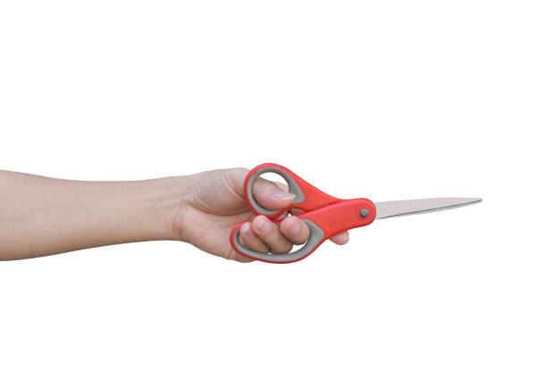 istock hand holding red scissors isolated on white background with clipping path. 1213816796