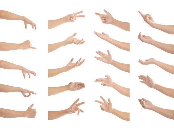 istock Collection of human hands in multiple gesture isolated on white background with clipping path. 1213816797