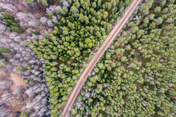 istock landscape in cloudy spring day with spring forest and dirt road. aerial view 1213816805