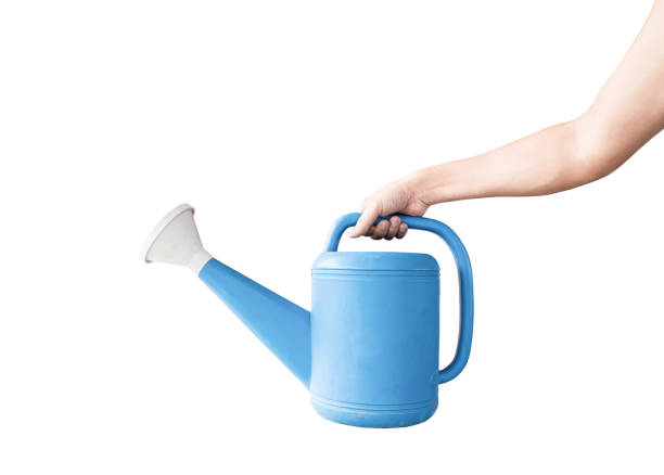 istock Hand holding a blue watering can, Isolated on white background with clipping path. Concept of gardening. 1213817132
