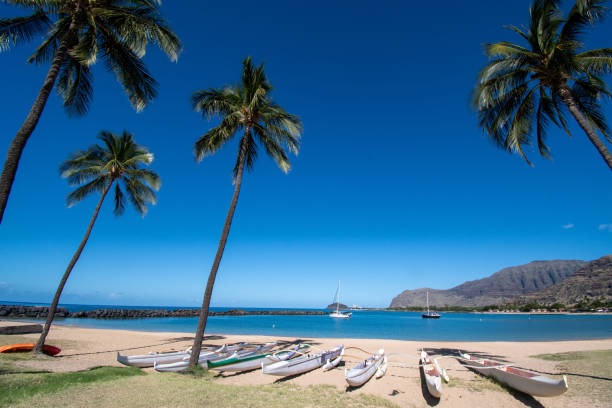 istock Outrigger canoes on a beach 1213827541